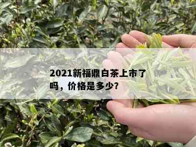 2021新福鼎白茶上市了吗，价格是多少？