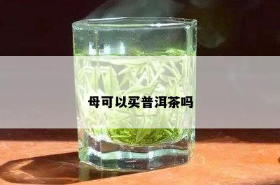 母可以买普洱茶吗