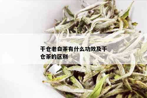 干仓老白茶有什么功效及干仓茶的区别