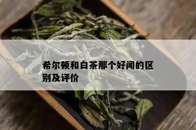 希尔顿和白茶那个好闻的区别及评价