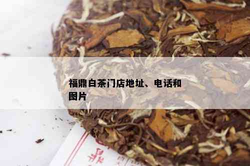 福鼎白茶门店地址、电话和图片