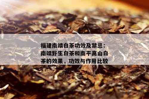 福建南靖白茶功效及禁忌：南靖野生白茶和南平高山白茶的效果，功效与作用比较