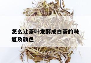 怎么让茶叶发酵成白茶的味道及颜色