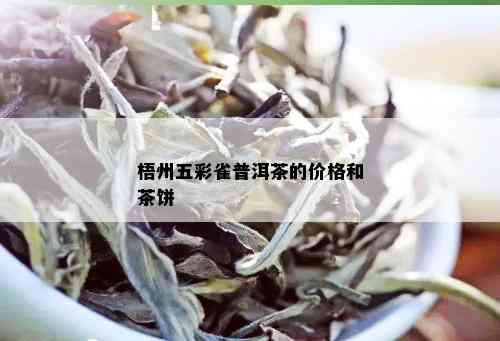 梧州五彩雀普洱茶的价格和茶饼