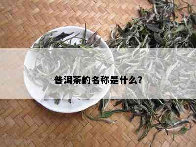 普洱茶的名称是什么？