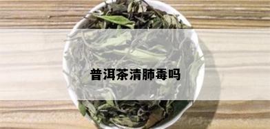 普洱茶清肺吗