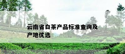 云南省白茶产品标准查询及产地优选