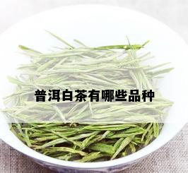 普洱白茶有哪些品种