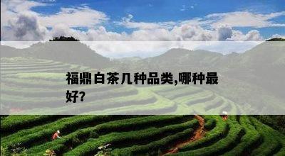 福鼎白茶几种品类,哪种更好？