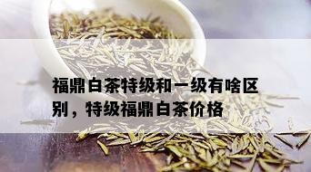 福鼎白茶特级和一级有啥区别，特级福鼎白茶价格