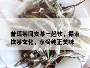 普洱茶同安茶一起饮，探索饮茶文化，享受纯正美味