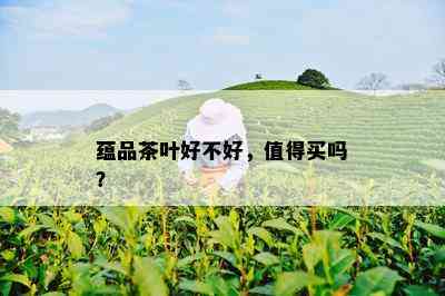 蕴品茶叶好不好，值得买吗？