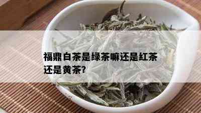 福鼎白茶是绿茶嘛还是红茶还是黄茶？