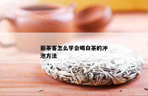 新茶客怎么学会喝白茶的冲泡方法