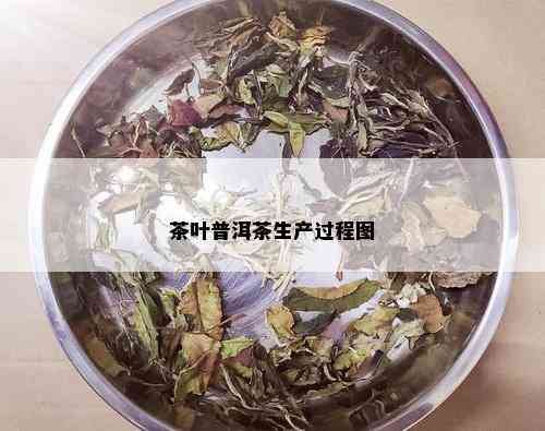 茶叶普洱茶生产过程图