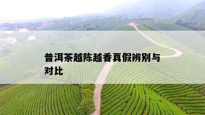 普洱茶越陈越香真假辨别与对比