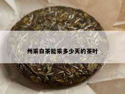 州采白茶能采多少天的茶叶