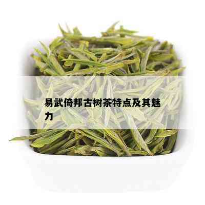 易武倚邦古树茶特点及其魅力