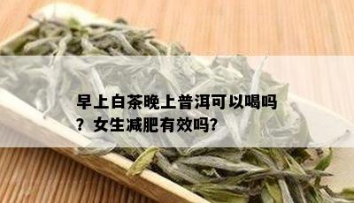 早上白茶晚上普洱可以喝吗？女生减肥有效吗？