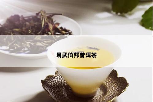 易武倚邦普洱茶