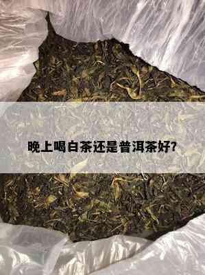 晚上喝白茶还是普洱茶好？