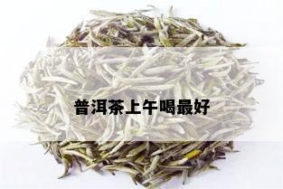 普洱茶上午喝更好