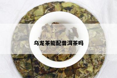 乌龙茶能配普洱茶吗