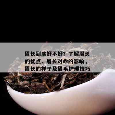 眉长到底好不好？了解眉长的优点，眉长对命的影响，眉长的样子及眉毛护理技巧