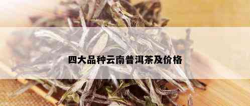 四大品种云南普洱茶及价格