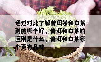 通过对比了解普洱茶和白茶到底哪个好，普洱和白茶的区别是什么，普洱和白茶哪个更有品味