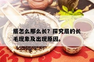 眉怎么那么长？探究眉的长毛现象及出现原因。