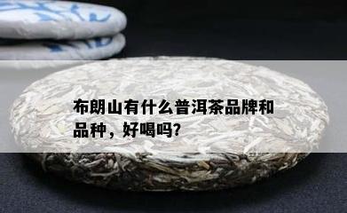 布朗山有什么普洱茶品牌和品种，好喝吗？