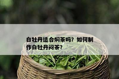 白牡丹适合焖茶吗？如何制作白牡丹闷茶？