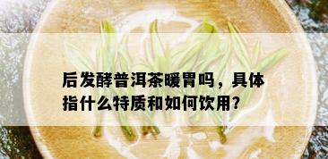 后发酵普洱茶暖胃吗，具体指什么特质和如何饮用？