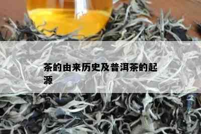 茶的由来历史及普洱茶的起源