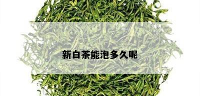 新白茶能泡多久呢