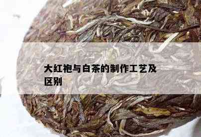 大红袍与白茶的制作工艺及区别