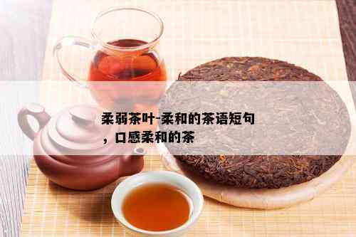 柔弱茶叶-柔和的茶语短句，口感柔和的茶