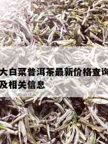 大白菜普洱茶最新价格查询及相关信息