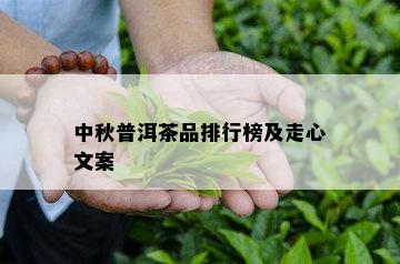 中秋普洱茶品排行榜及走心文案