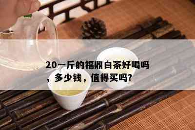 20一斤的福鼎白茶好喝吗，多少钱，值得买吗？