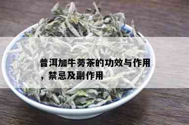 普洱加牛蒡茶的功效与作用，禁忌及副作用