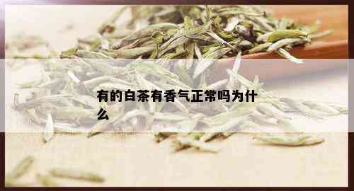 有的白茶有香气正常吗为什么