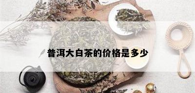 普洱大白茶的价格是多少