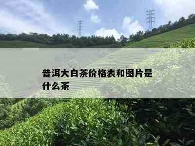 普洱大白茶价格表和图片是什么茶