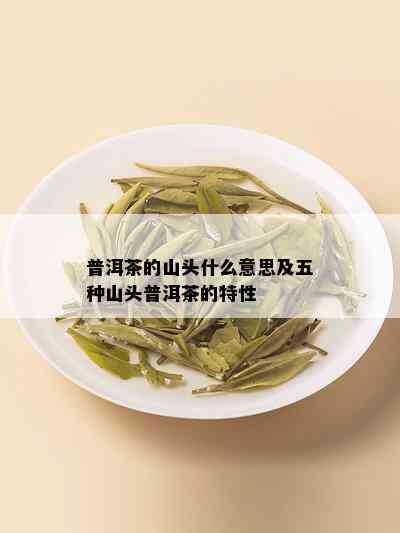 普洱茶的山头什么意思及五种山头普洱茶的特性