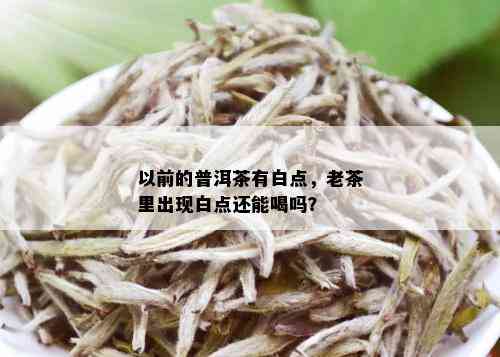 以前的普洱茶有白点，老茶里出现白点还能喝吗？