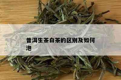 普洱生茶白茶的区别及如何泡