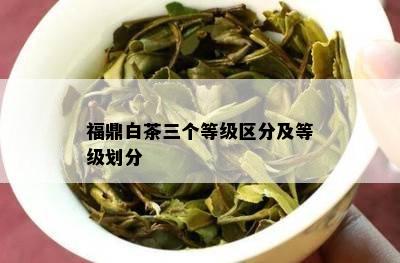 福鼎白茶三个等级区分及等级划分