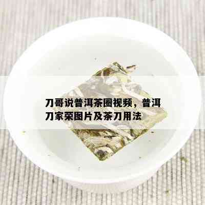 刀哥说普洱茶圈视频，普洱刀家荣图片及茶刀用法